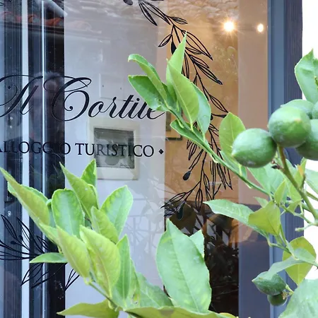 Il Cortile *